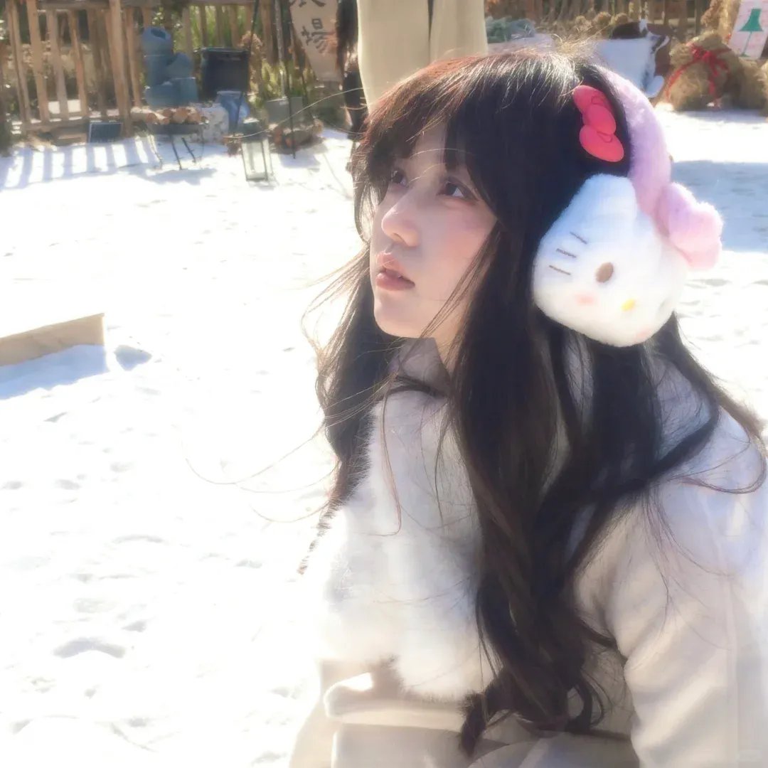 安妮莱伯维兹的浮华世界